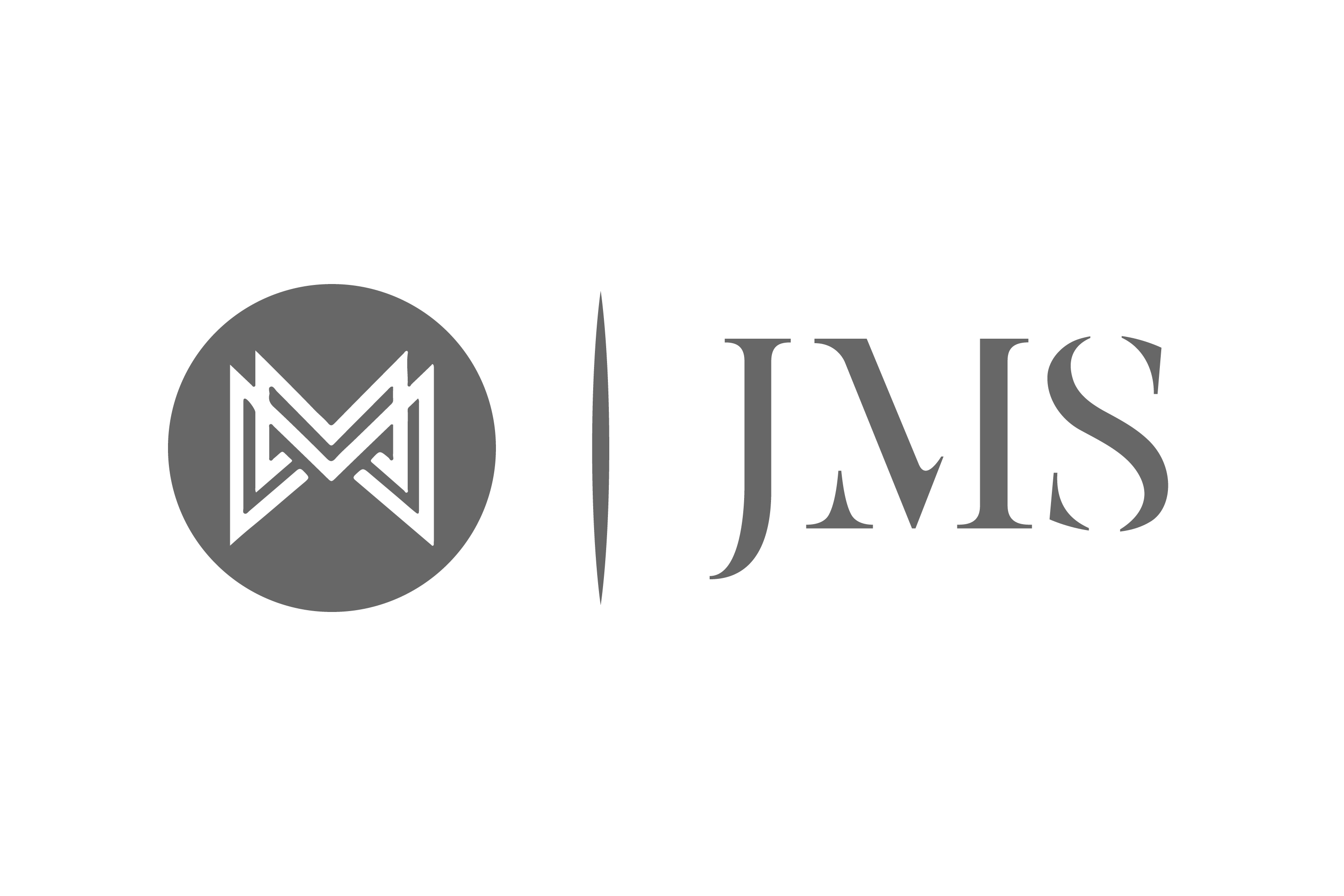 JMS Marketing Consultancy